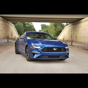 Meet your Posher, Chaz